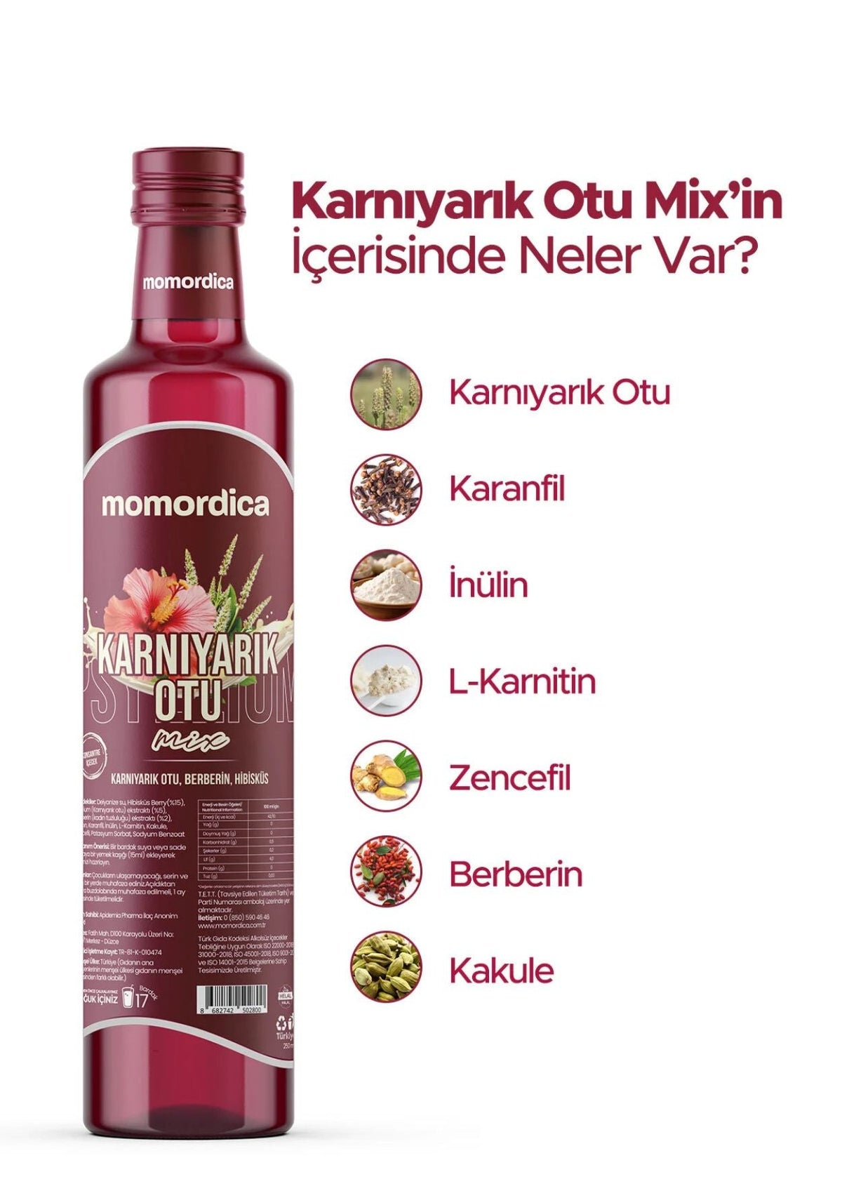 Momordica Karnıyarık Otu Mix 250ml