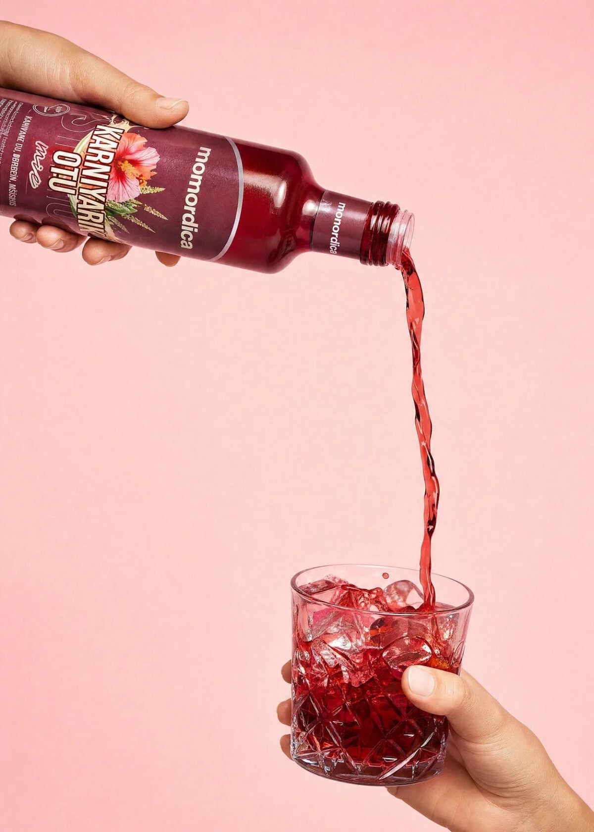 Momordica Karnıyarık Otu Mix 250ml