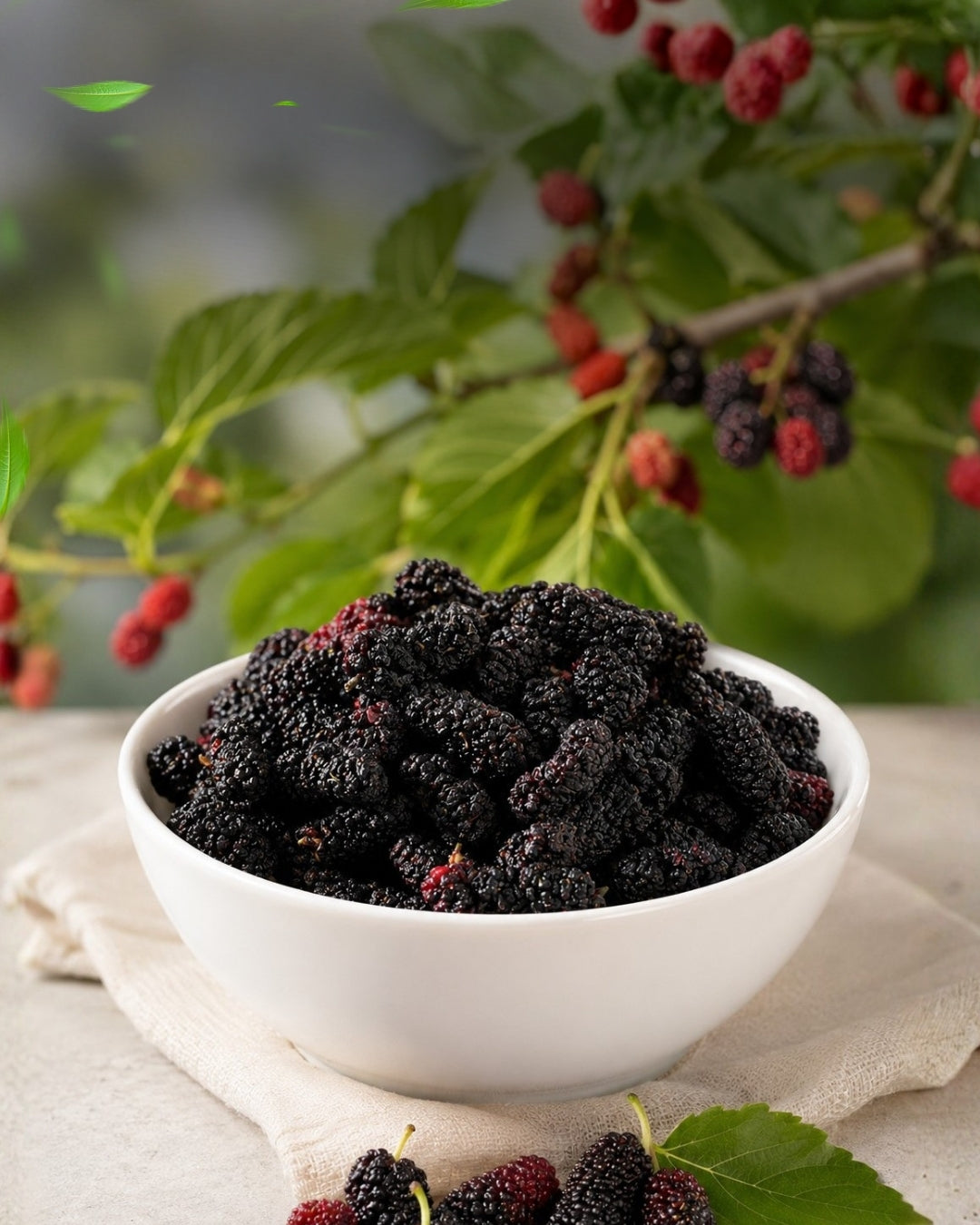 Getrocknete Schwarze Maulbeeren 500g