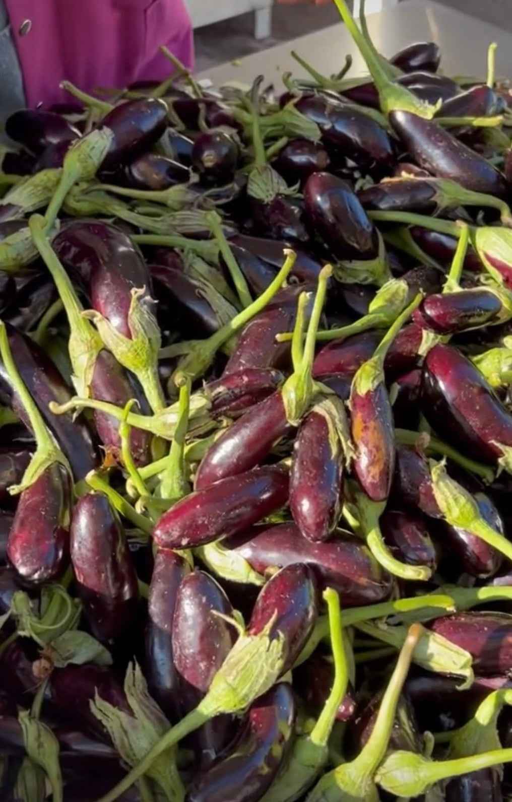 Patlıcan Reçeli 750g