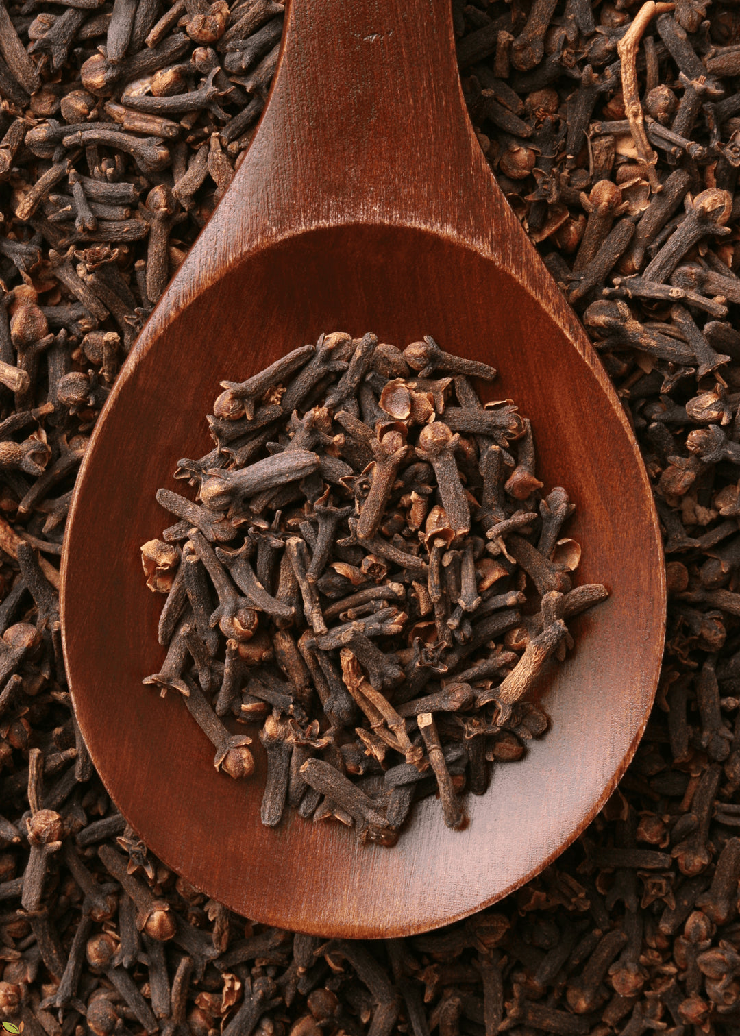 Tane Karanfil 100g