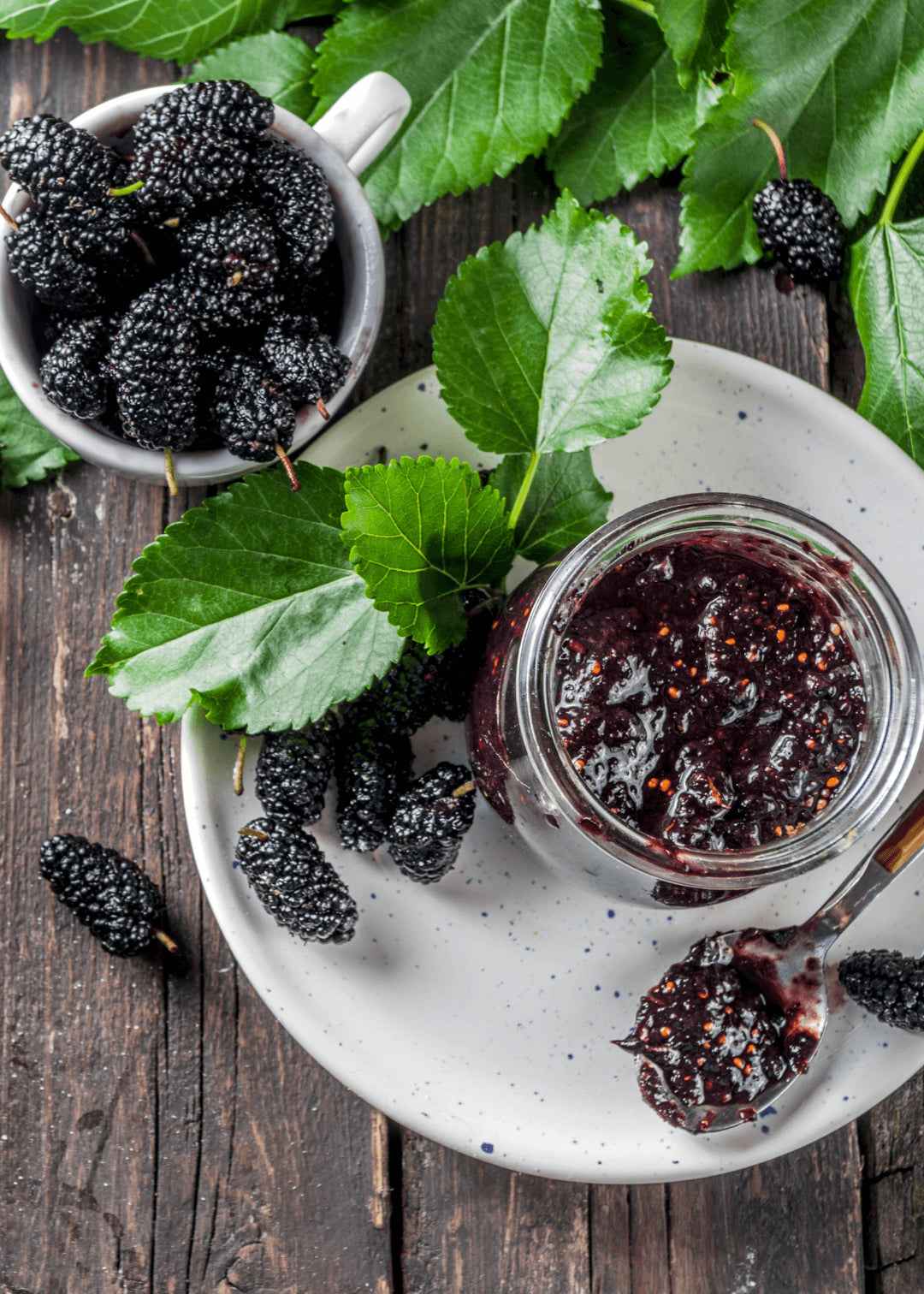 Karadut Reçeli 750g