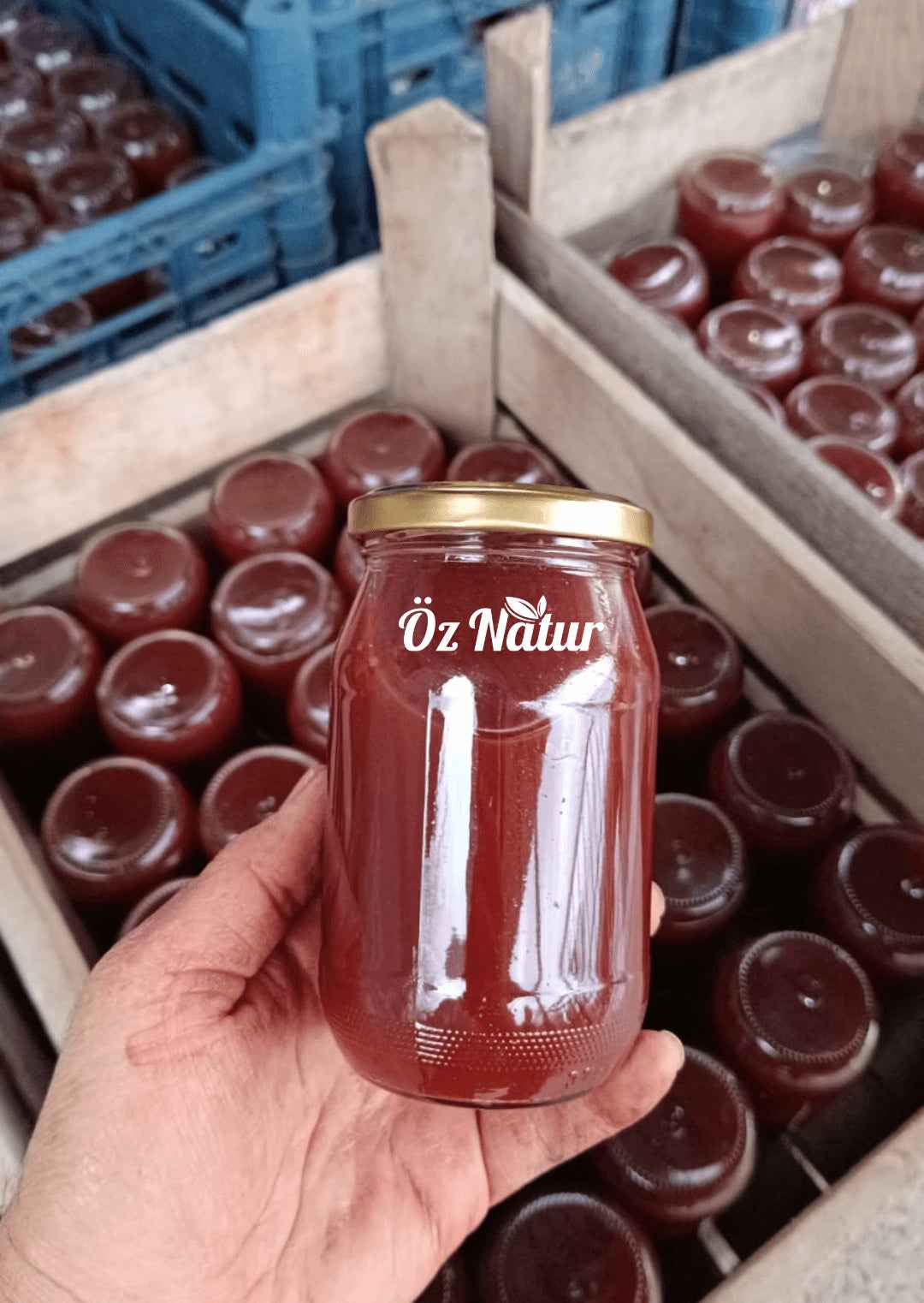 Kozalak Şurubu (Sıvı) 370ml