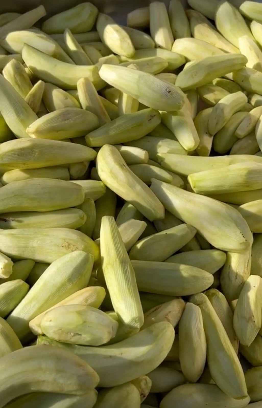 Patlıcan Reçeli 750g