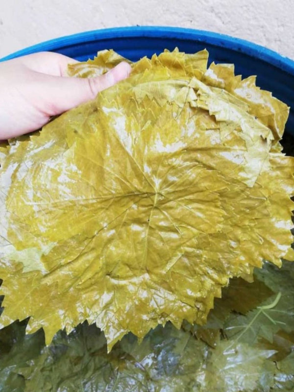 Tokat Erbaa Salamura Asma Yaprağı (Vakumlu) 800g