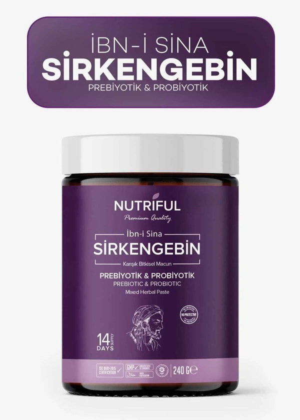 Nutriful Ibn-i Sina Sirkengebin Prebiyotik & Probiyotik Bitkisel Macun 240g